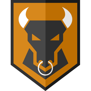 Icon 10